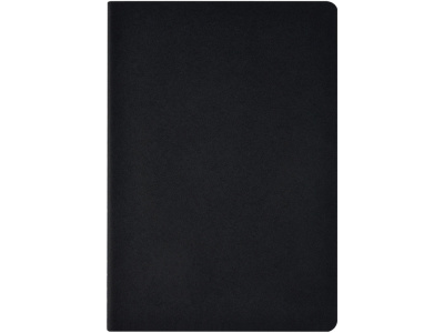 Бизнес-тетрадь А4 Pragmatic