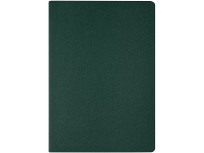 Бизнес тетрадь А5 Pragmatic