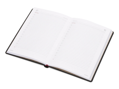 Ежедневник недатированный А5 Velvet