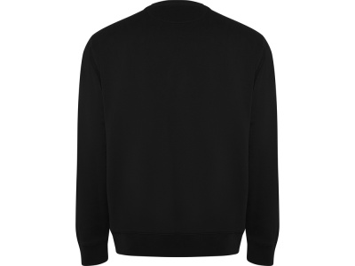 Свитшот из органического хлопка Batian, унисекс