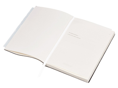 Бизнес-блокнот А5 C1 soft-touch