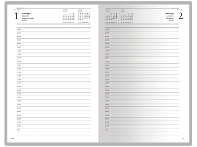 Ежедневник А5 датированный Бумвинил на 2025 год