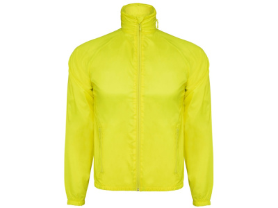 Ветровка Kentucky мужская