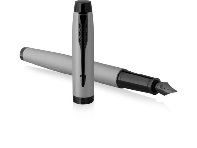 Ручка перьевая Parker IM MGREY BT