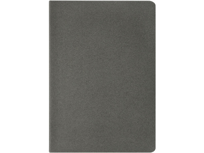 Бизнес-тетрадь А4 Pragmatic