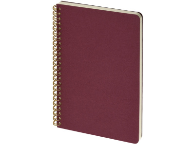 Бизнес тетрадь А5 Pragmatic