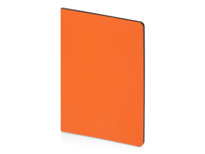 Бизнес-тетрадь А5 Pragmatic Contrast