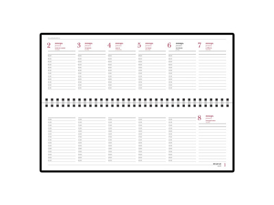 Планинг датированный Sidney Nebraska на 2025 год