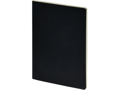 Бизнес-тетрадь А4 Pragmatic