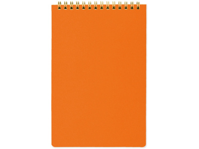 Блокнот А5 Pragmatic