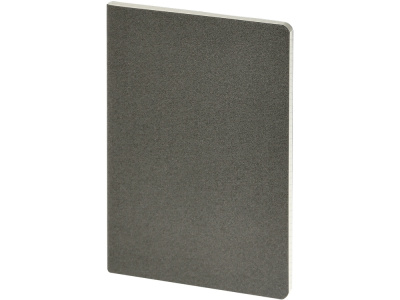 Бизнес-тетрадь А4 Pragmatic