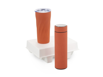 Подарочный набор FAMILY с термосом и термокружкой Подарочный набор FAMILY с термосом и термокружкой