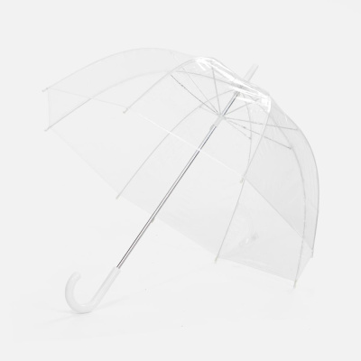 Прозрачный зонт-трость Clear
