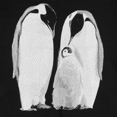 Свитшот детский Like a Penguin, черный, 8 лет (118-128 см)