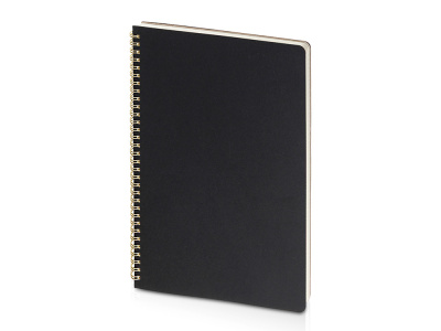 Бизнес-тетрадь А4 Pragmatic