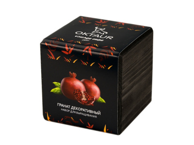 Набор для выращивания Small village cube Эхиноцереус