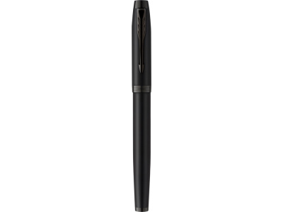 Ручка перьевая Parker IM Achromatic Matte Black BT