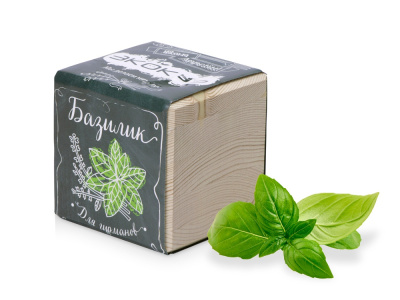 Набор для выращивания Сосна обыкновенная