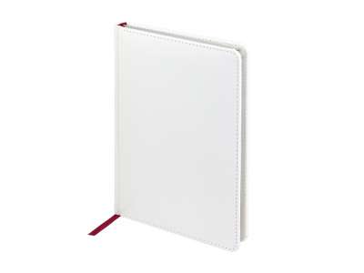 Ежедневник недатированный А5 Sidney Nebraska с золотым срезом