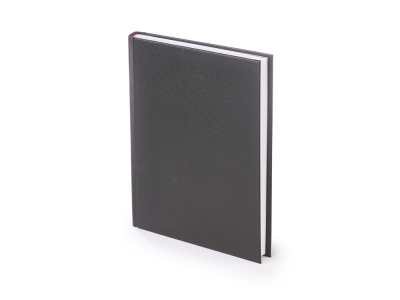 Ежедневник датированный А5 Ideal New на 2026 год