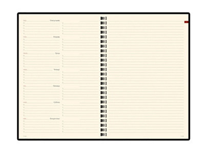 Еженедельник недатированный А5 Concept