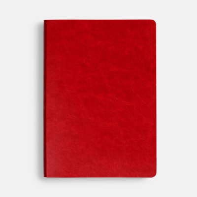 Ежедневник Nebraska Flex, недатированный, красный с золотистым