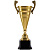 Кубок Recordsman, золотистый