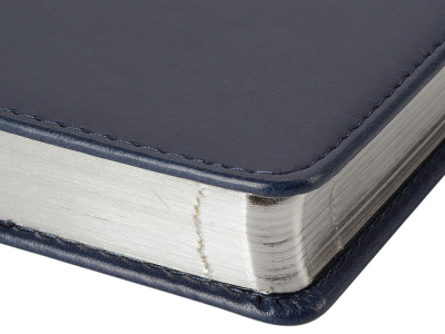 Ежедневник недатированный А5 Parliament