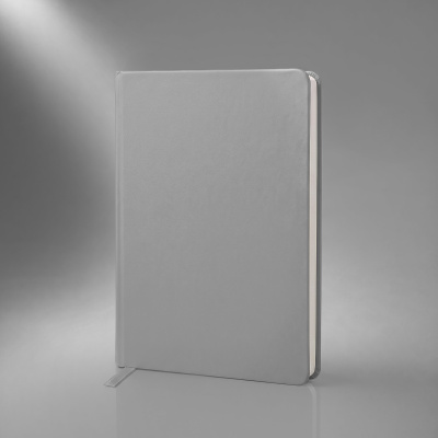 Бизнес-блокнот А5 C2 soft-touch