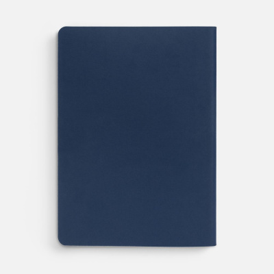 Ежедневник Flex Shall, датированный, синий