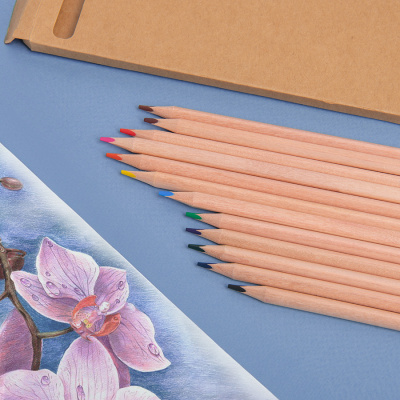 Набор цветных карандашей KINDERLINE middle,12 цветов, дерево, картон