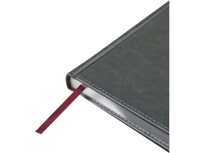 Ежедневник недатированный А5 Sidney Nebraska с серебряным срезом