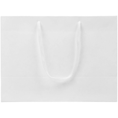 Пакет бумажный «Крафт», S, белый